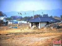 东明县茂岩鲜花店