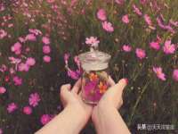 东明县茂岩鲜花店
