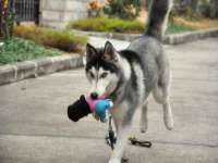 东明县茂岩鲜花店