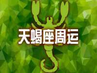 东明县茂岩鲜花店