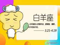 东明县茂岩鲜花店