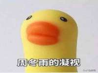 东明县茂岩鲜花店