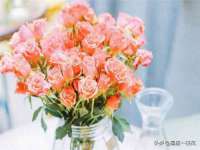 东明县茂岩鲜花店