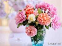 东明县茂岩鲜花店