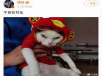 东明县茂岩鲜花店