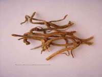 东明县茂岩鲜花店