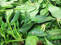 东明县茂岩鲜花店