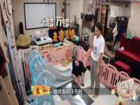 东明县茂岩鲜花店