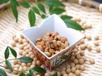 东明县茂岩鲜花店