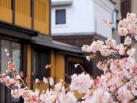 东明县茂岩鲜花店