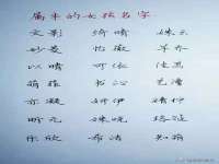 东明县茂岩鲜花店