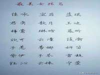 东明县茂岩鲜花店