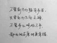 东明县茂岩鲜花店