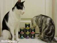 东明县茂岩鲜花店